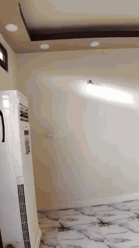 الطائي اصباغ وديكور • ديالى بلدروز • مجاور مدرسة الفتوه