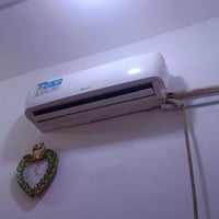 سبلت الريان • عاطل • سوق الشيوخ