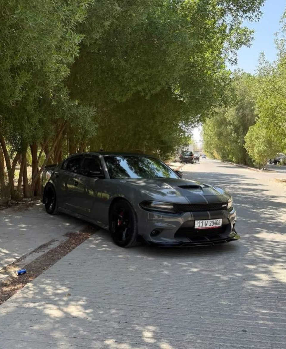 السلام عليكم

چارجر دايتونا ￼ SRTاصل ￼موديل 2017

رقم بغداد نكليزي 

ماشيه 90 ميل 

فول موصفات عده الرادار لمامي 

حجم المحرك:6400

مكينه وكير وحداديه مكفولات

الموصفات/

فتحه 

 فچوچ برمبو 6 بستن

داخل كنتاره وجلد 

تبريد تدفئة كشنات امامي وخلفي بس تدفئة

كشنات كهرباء +ستيرن كهرباء 

دمام بلاد سماعات بتس 

السياره فول موصفات عده الرادار لمامي 

تشغيل عن بعد 🔴

خزن ميموري 🔴

مري قلاب🔴

تعتيم بلمري🔴

شفتات ستيرن🔴

السياره مختمه بكل مكان دايتونا 🔴

هيتر بل مري 🔴

نقطه عمياء بلمري 🔴

السياره بيها 3قطع صبغ 

ايرباك برده فقط 

والسياره كلش حلوه ونضيفه ألف ماتصرف عليها 

السعر :190ورقة وبيهة مجال الشراي 

المكان:الديوانية 

مامتواجد خاص 

 باقي التفاصيل خاص : @gi.scat


**إذا كنت صاحب هذا الإعلان وتريد حذفه لأي سبب، رجاءا أرسل رسالة إلى الدعم الفني**