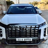 بالسايد • ٢٠٢٣ • وارد امريكي حادث