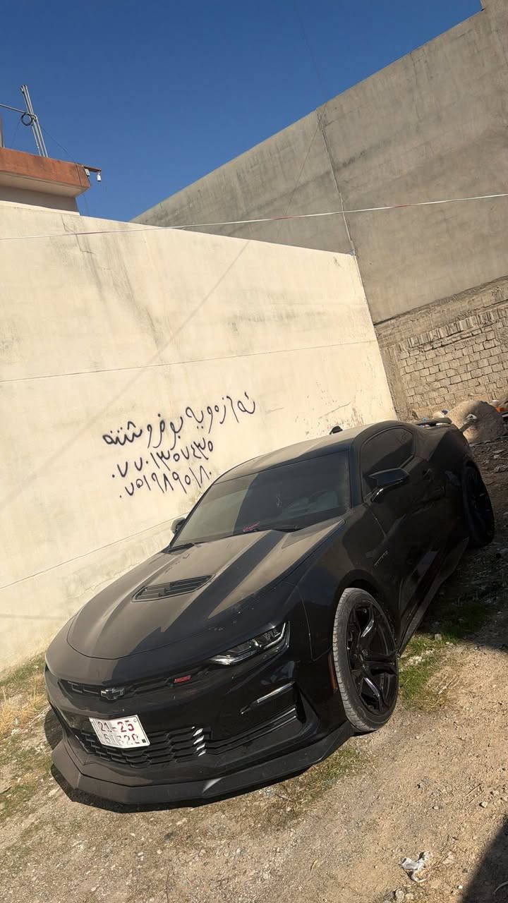 سلام عليكم من انظف الكمارو بل عراق
كمارو SS 1Le 2023 لبيع او مراوسه حسب القناعه 
محرك v8 6.2
كلين بدون صبغ فقط شبر PDR
ماشيه 21 الف ميل 
مواصفات ال 1le 
كشنات ريكارو وخزن وتبريد وتدفئه وكنتاره وجلد 
شاشه اكبر حجم ام لد وكار بلي 
دواخل 24 لون 
داتا شو 
كيج ديجتال 
دبلات امامي خلفي كهرباء تحكم من شاشه 
اكتف اكزوز 
بك لايتات سموك 
عليها كماليات كامل لحيه دوسات سبويلر لدات دفيوزر كفر امرايات باتمان 
سياره جديد كلش ع وضع الشركه برغي نقص مابيها
مكان سياره كركوك  
***********
