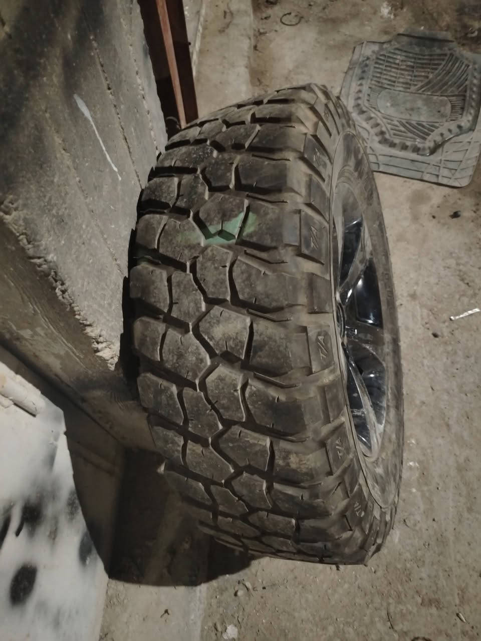 تخم جبلي جديد نضافه ١٠٠ ٪ب ١٠٠
يرهم من ٩٠ الئ ٩٨
***********
***********
