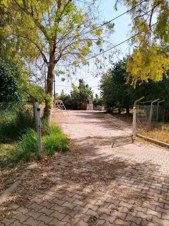 بيع مستعجل جدا مزرعة للبيع طابو اسود مباشر من ابو طابو مساحة 10 دونم  واجه كلش جبيره تقريباً 200م في كركوك طريق ليلان قريه ترجيل مسيجه كامل بيها بيتين بيت سكن وبيت للحارس وبيها بير ماء ارتوازي ومحوله خاصه للمزرعه ومولد بيها ومسبح والاشجار مثمره متنوعه تقريبا ١٠٠٠ شجره مثل تين وزيتون وعنب و مشمش وحمضيات وغيرها وتقرببا بيها ثلاث دوانم ممزروعه سعره مناسب للمزيد من معلومات اخرى يرجى اتصال على رقم مبايل ***********
