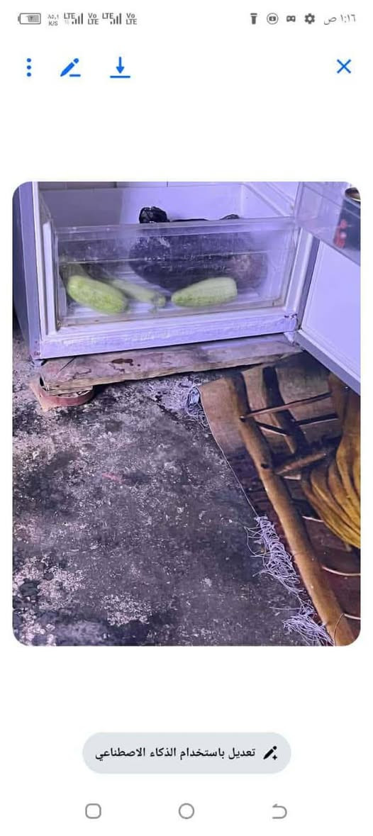 كلمن وسعره توصيل داخل بغداد


**إذا كنت صاحب هذا الإعلان وتريد حذفه لأي سبب، رجاءا أرسل رسالة إلى الدعم الفني**