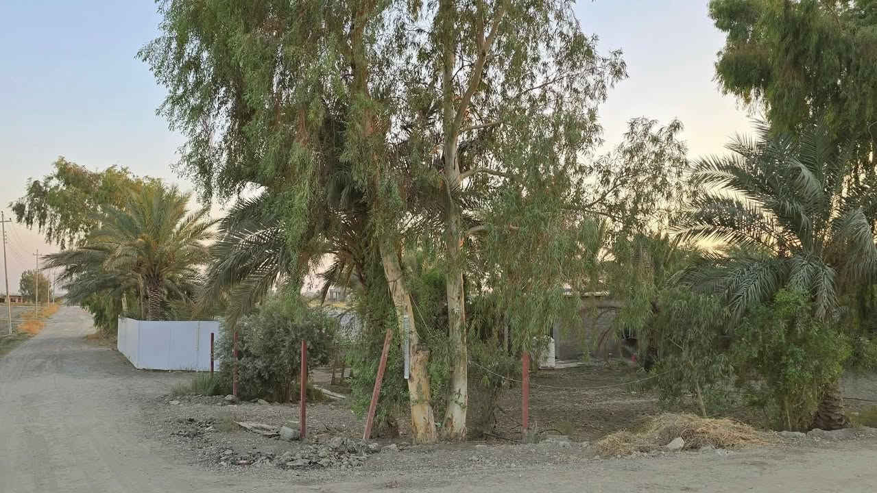 بستان للبيع ركن على شارعين وبي بيت واحد دونم 
مساحته 120 متر السعر 100وبي مجال 
جنس الارض طابو سند 25 فتح بيان بأسم المشتري
على التبليط مباشر العنوان تاجي ذراع دجلة بمنطقة الشيخ عامر بداية المنطقة
كامل ماء اساله وسقي وكهرباء 
للاستفسار واتساب ***********
