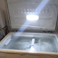 مجمده للبيع  المجمده نسبه. النضافه٩٩ ب١٠٠ تجميده ١٠٠/١٠٠ شركه هونداي ع...