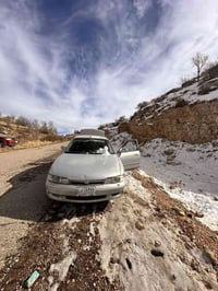 فاصوليا ٩٥ • توماتيك • بدون صبغ
