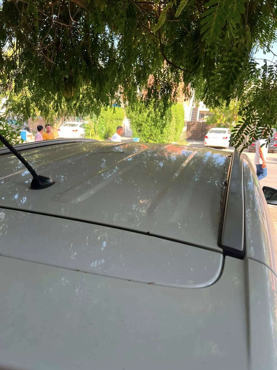 السلام عليكم هونداي توكسان موديل 2019 خليجي
رقم بغداد الدولي الجديد 
مكينة 2000 دوش بحالة الوكاله 
مكينة + كير + صدر + تبريد كله مكفول 
ماشيه 129 كم 
المواصفات:
بصمه/ شاشه جبيره+ لمس + كاميرا خلفيه/ داخل جلد مشمشي اصلي/ 3 قيادات / تحكم جهتين + كروس سرعه/ كراسي كهرباء مقعدين امامي / مري شفط / ترحيب عند الاقتراب من السياره / حساس امامي خلفي / لد امامي خلفي / لايت زنون + خمس عدسات اصلي شركه + بصمة دخول + بصمة ابواب 

** حادث السياره صفحة السايق كلها مصبوغه موضح بالسونار موجود مع الصور 

السعر :155 $$ 

الاتصال على الرقم : +***********
مكان السياره عامريه
