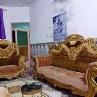 تخم ملكي • ١٠ مقعد • كربلاء
