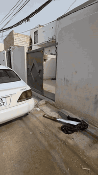 سلام عليكم ورحمة الله
بيت 150 متر نضيف للاجار 
مقابل عياده البراكيه لطب الاسنان
يحتوي على 
غرف نوم عدد 2
صاله
حمام داخلي 
حمام خارجي
مطبخ 
استقبال خارجي 
طرمه كبيره
سعر اجار البيت 
200 الف غير قابل لتفاوض اصحاب المكاتب الرجاء عدم الاتصال 
***********
***********
