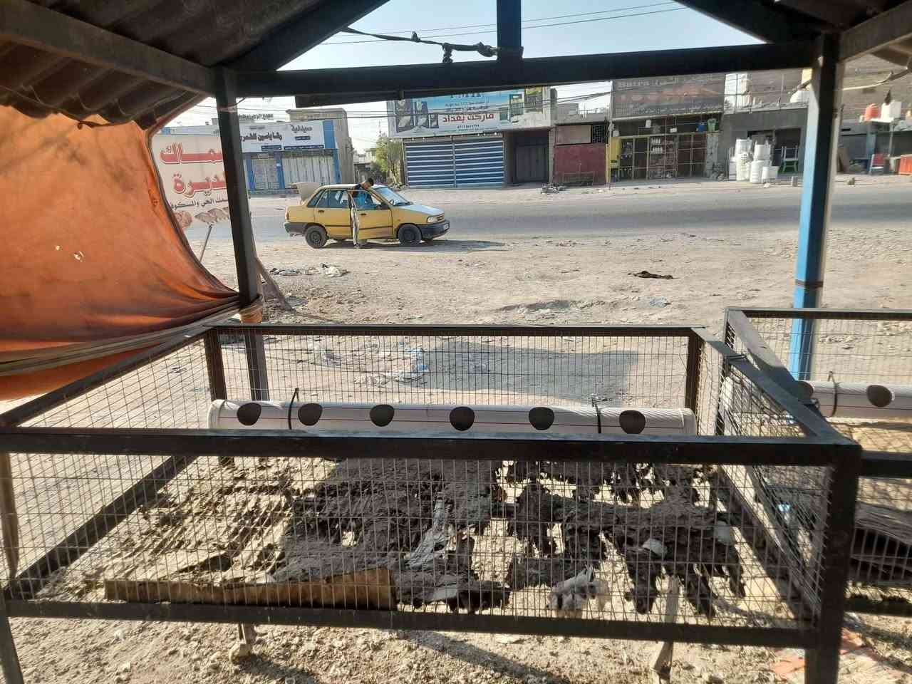 مجزرة دجاج وسمك للبيع كامله مكمله
حوصين سمك واحد خارجي وثاني داخلي 
قفاصه عدد2 
هلاسة جديدة 
موقع حلو خير من الله 
مكان المجزرة سايد الواحد الكرغوليه مقابيل فلافل علي دبل 
للستفسار وباقي تفاصيل لاتصال على رقم ***********
