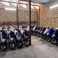 اكزز منغولي • قفل اكسن • مصري