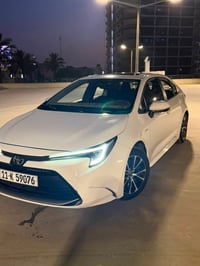 حبايب🤍  كورلا هايبرد للبيع طبعاً ميحتاج نحجي هيه تسولف عن نفسها بس للم...