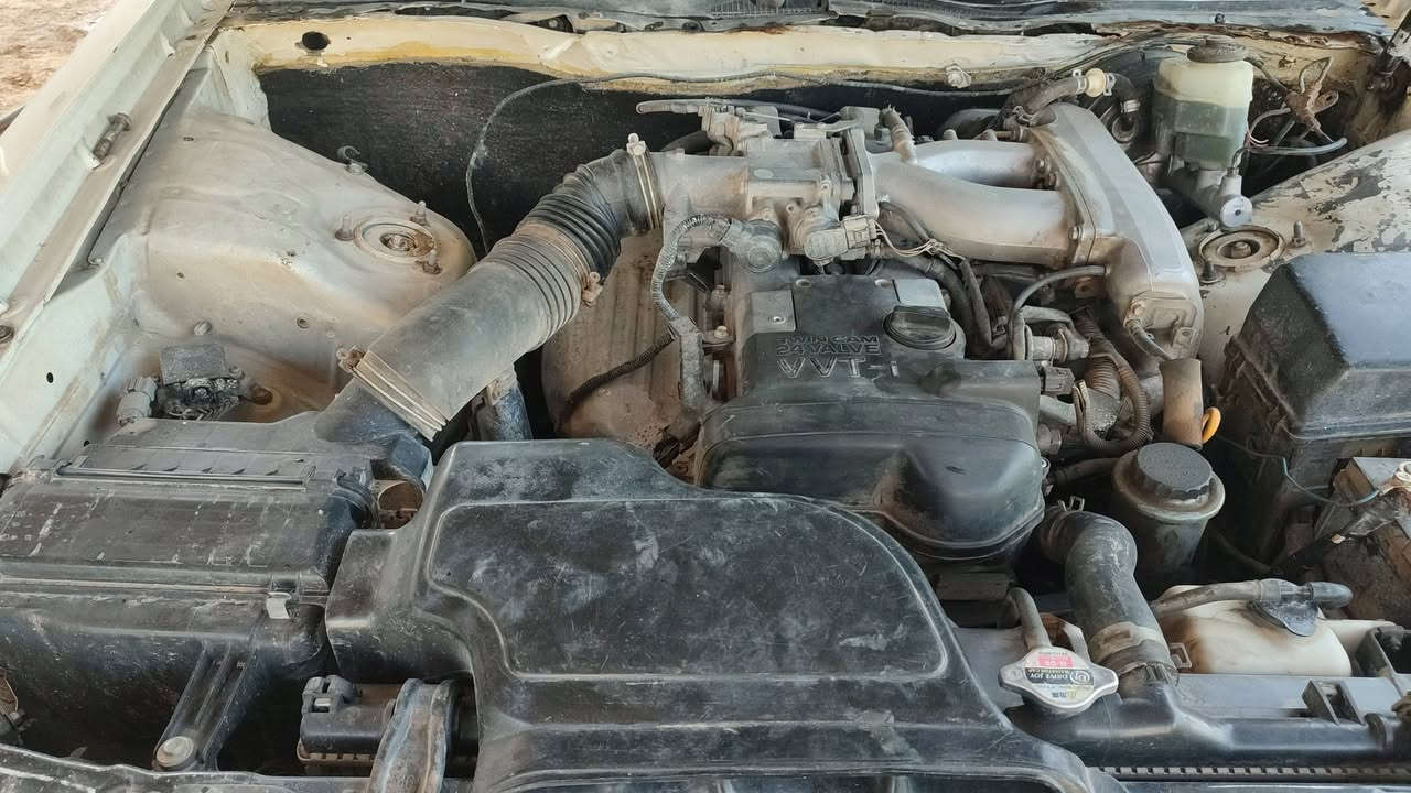 السلام عليكم من رخصت الادمن للبيع راس الثور ٩٦ صلاح الدين بيها لغد أمامي السعر ٥٥ عنوان فلوجه تحويل مباشر ***********
