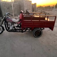 ٢٠١١ • نضيفه • شاصيه مكفول