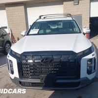 باليسايد • ٢٠٢٤ • سفوان