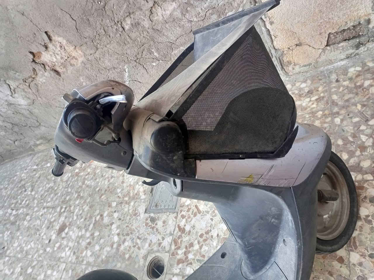 دراجه منغولي شرط مامفتوحه نقصه بس روله سعرها قفل 300عنوانهاكربلاءحي العامل رقم ***********
