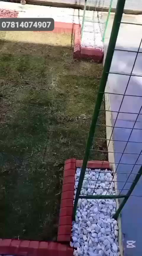 أنواع النقشات والديكورات عملي
ان شاء الله ينال اعجابكم احبتي 

*********** واتساب
