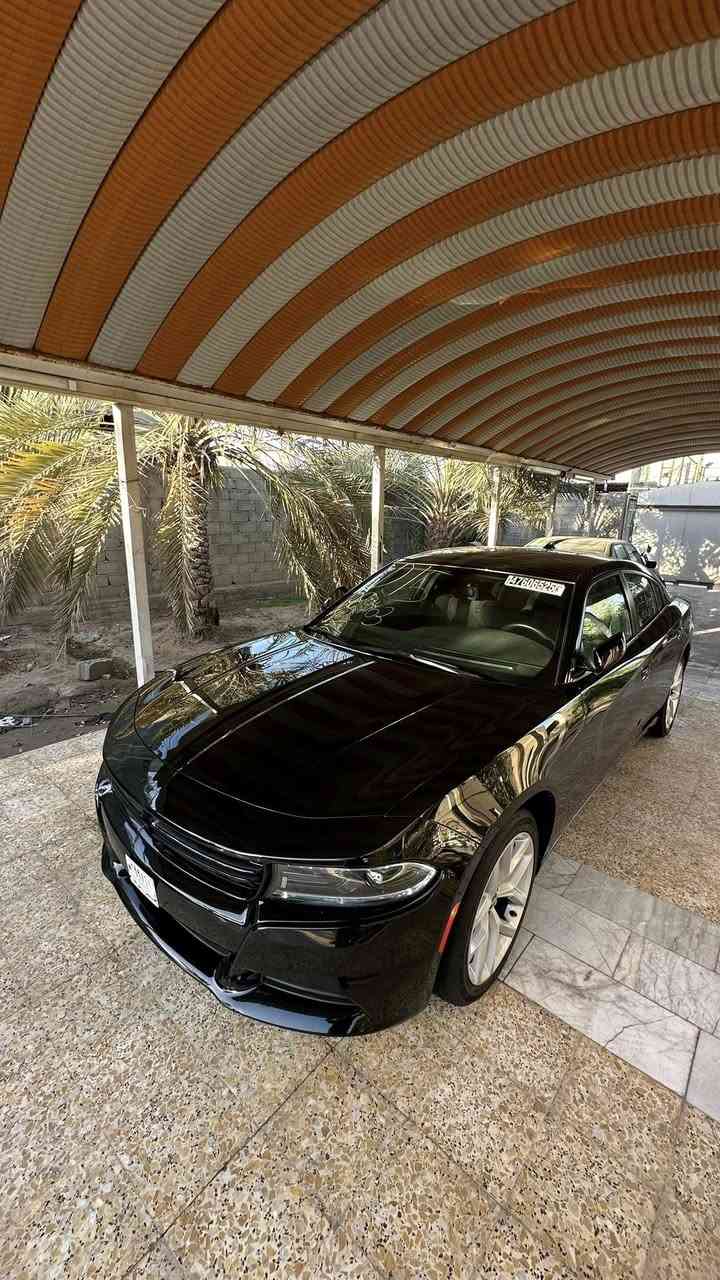 سلام عليكم للبيع جارجر sxt موديل 23 دخول جديد مرقم ب اسم المشتري حادث فقط بارد بل بنيد بدون ايرباك بدون دواخل بدون قطرة صبغ حته الدعاميه الاماميه نفسها سعر 262 وبيها مجال لطيبين عنوان حله مركز للاستفسار خاص او الاتصال 

***********
