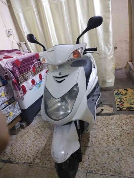 سلام عليكم سكنس فحل باياني البيع لسعر 950الف ماشيه47الف رقم الجوال *********** مكان بغداد
