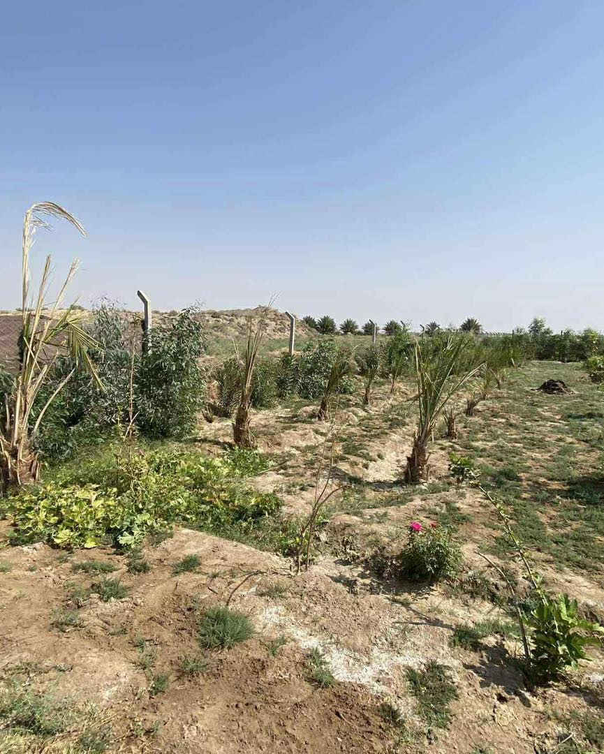 مزرعه للبيع على طريق الدغاره خلف مطعم واثق 
بعدها ماكامله   يحتاجلها ترتيبات 
زراعي سند 25 
المساحة  1000 متر
للأستفسار مراسلةالصفحه او الاتصال ع الرقم التالي ***********
او زيارة المكتب التقيه شارع عشرين مكتب يحيى التميمي للعقار
يتوفر لدينا قطع بجميع التوزيعات
تابع الصفحة حتى يجيك كلشي جديد يخص العقار
