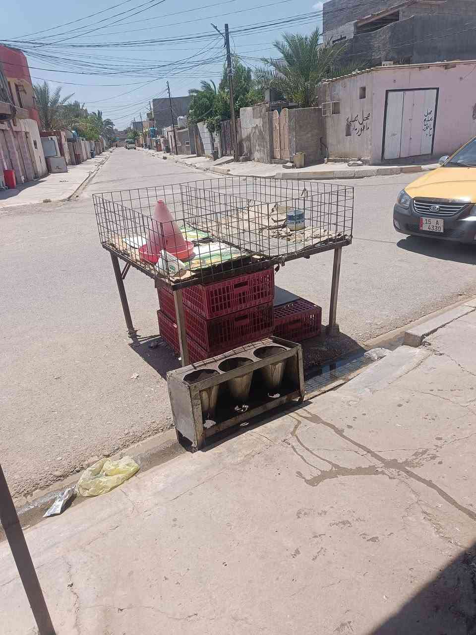 السلام عليكم محل دجاج كامل للبيع الشراي يتصل
السعر500
  ‏‪***********‬‏
