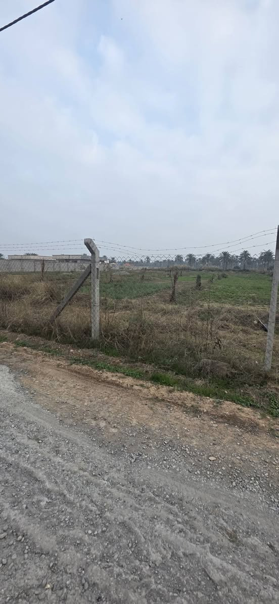 صنف الأرض ملك صرف مجاورة مزارع للستفسار اتصل ***********
