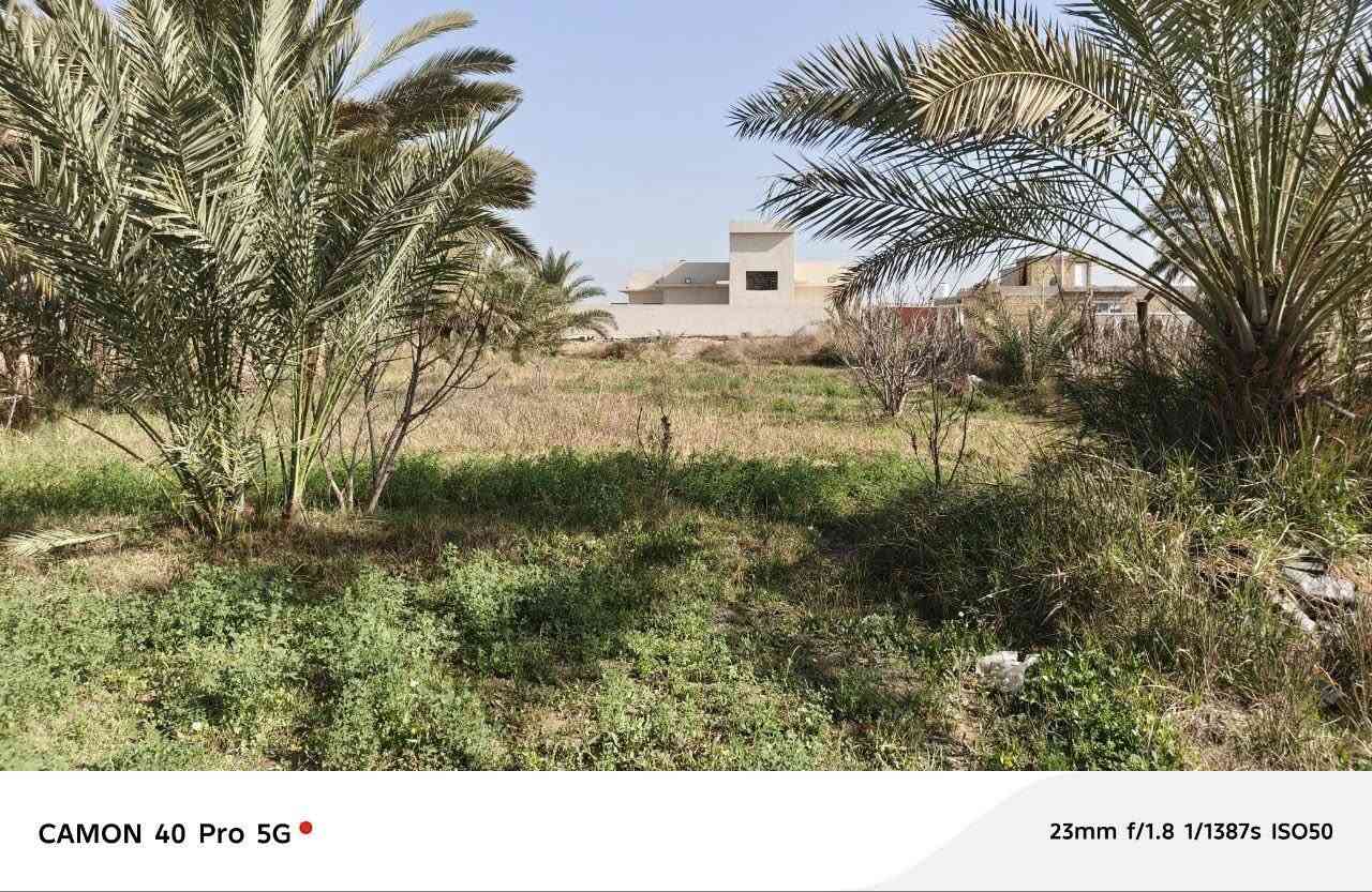 السلام عليكم
قطع سكنيه للبيع مساحه كل واحده 200 متر زراعي سند 25 متوفر كل الخدمات 

ثلاث قطع منها قرب الامام سيد ابراهيم ابن الامام موسى الكاظم ( عليهم السلام )

واكثر من 10 قطع قرب مستوصف الرواشد 

للاستفسار 

*********** حيدر العيساوي الحلاوي
