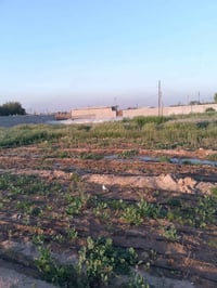 دونم • خور سفان • مسيج