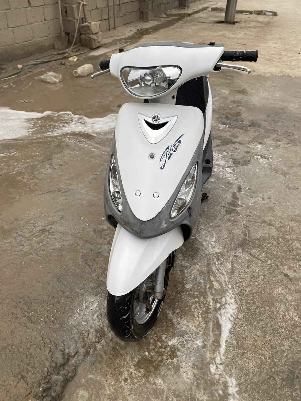 سلام عليكم ماكس منغولي البيع مكفوله مكان كربلاء ***********
