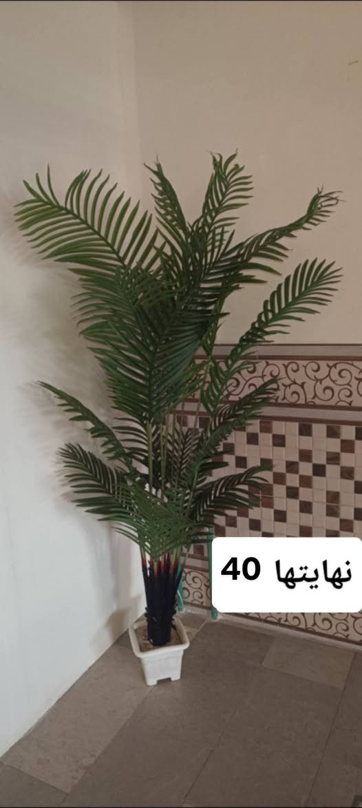 المكان الزعفرانية شارع المعهد
رجاء اي سعر بلصورة مكتوب ما اغيرة لان الغراض جدآ نظيفة ومابيهن اي عيب لا تحرجوني بلمعاملة ( والي يكولي هو الجديد بكذا سعر ) ترة اني ماخذتهن جديدات ما مستخدمات اصلا فقط خليتهن بلمركز وملحكت اشتغل بيهن فقط الشراية يدخلولي بلا زحمة


**إذا كنت صاحب هذا الإعلان وتريد حذفه لأي سبب، رجاءا أرسل رسالة إلى الدعم الفني**