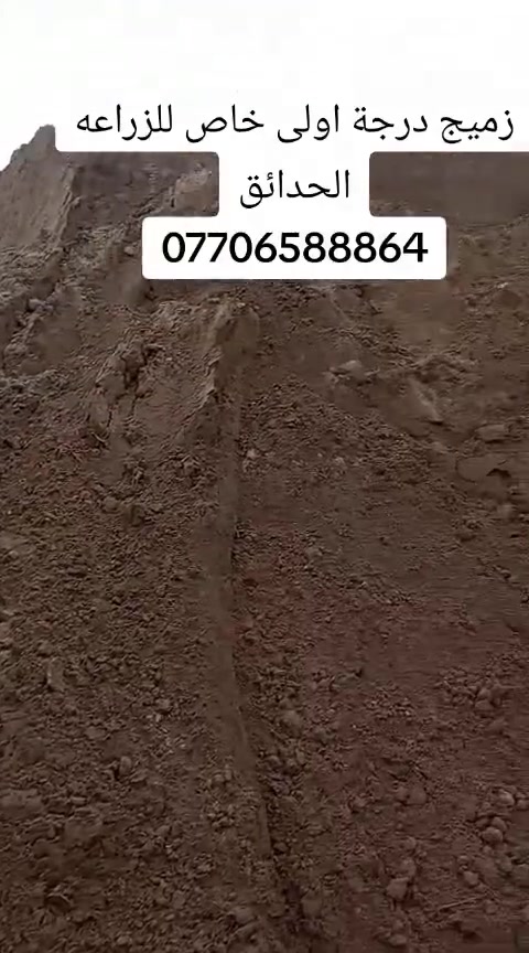 متابعينة الكرام يتوفر لدى مشتل التاجي  اجود انواع الزميج خاص للحدائق والمزراع درجه اولئ ونظيف  خالي من الاملاح والقصب/// للاستفسار والطلب *********** واتساب
