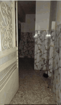 شقةلليجار

 طابق أول يعني ثاني المواصلات مقابيل كباب ابو علي

***********
