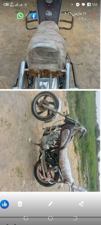 جونده • شغاله • اوراق اصولي