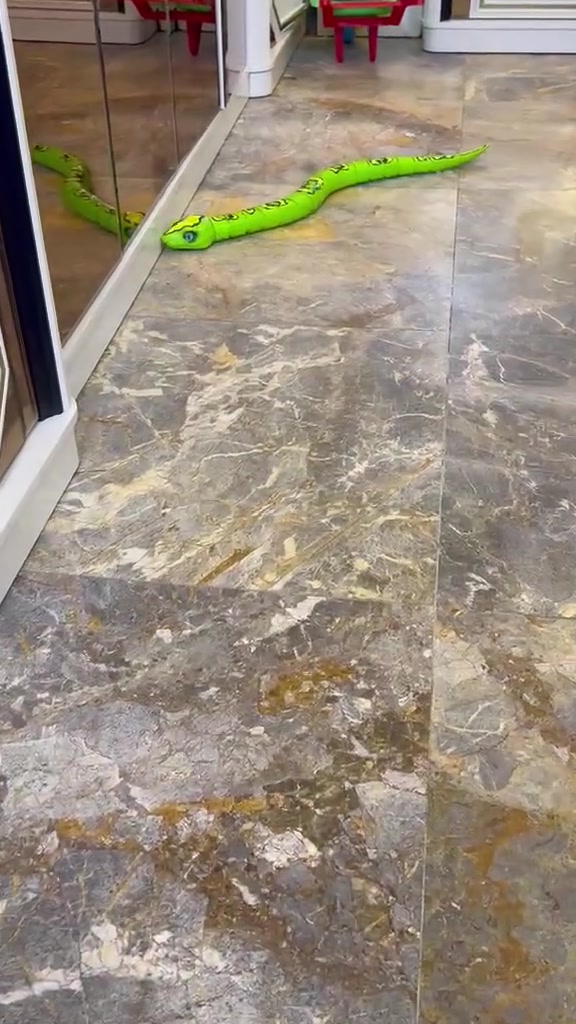 العاب تعليمي تفاعلي للاطفال


**إذا كنت صاحب هذا الإعلان وتريد حذفه لأي سبب، رجاءا أرسل رسالة إلى الدعم الفني**