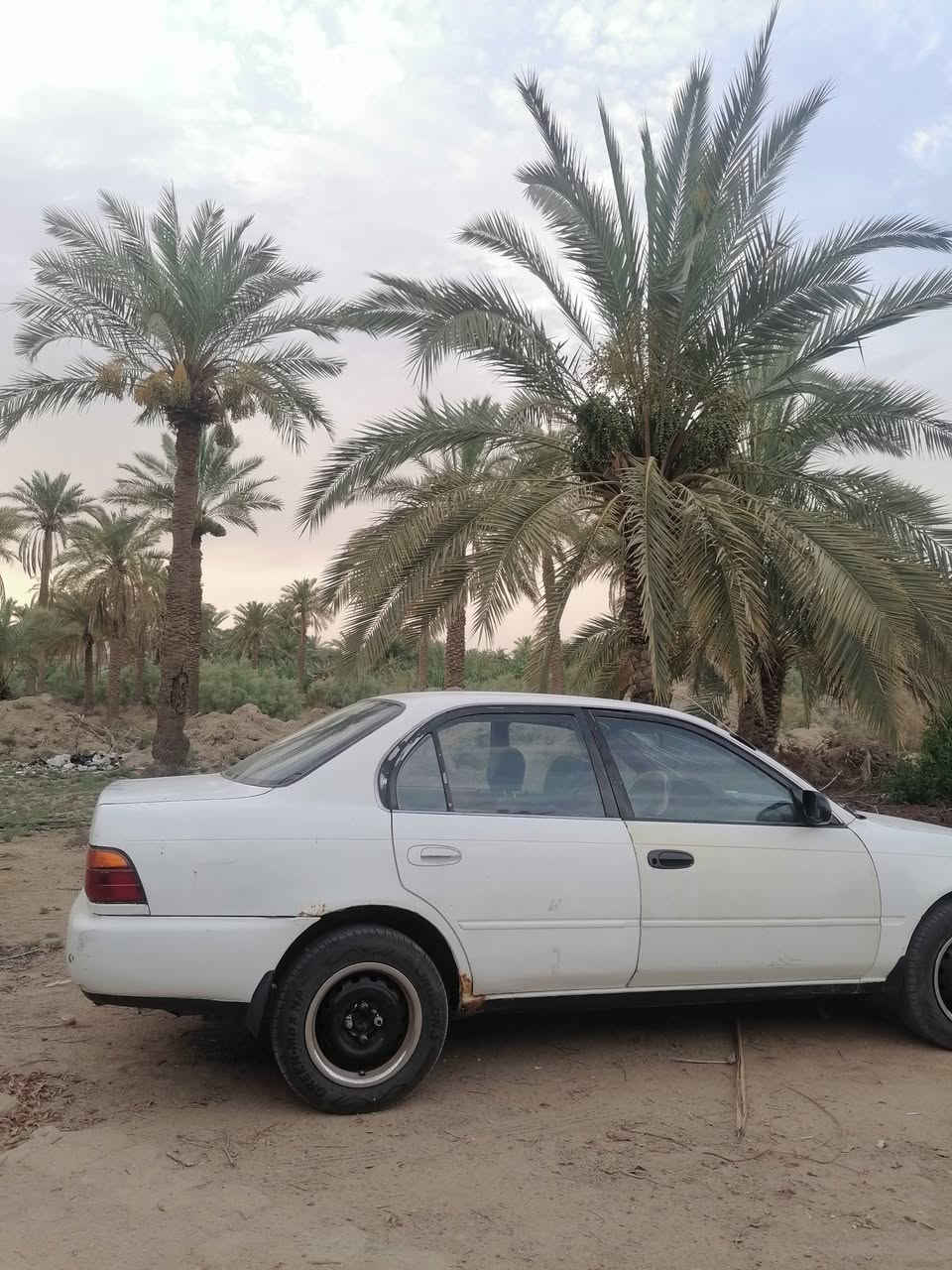 سلام عليكم سيارة كورلا للبيع بأسمي سنوية ماساقطة رقم نجف للاتصال والاستفسار *********** تبريد مابيها ولا ضربة تخم تاير السعر 47 مكان ناصرية سوق الشيوخ
