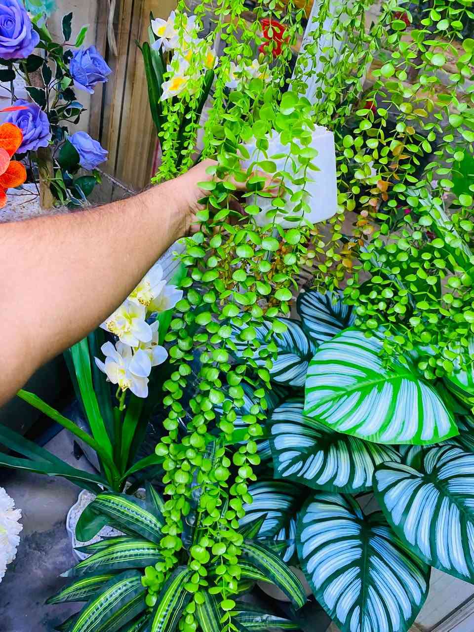 تخفيضات 🔥تخفيضات 🔥رجع توفررت وجبة جديدة من سندانة متدلي قاعدة سيراميك     .🌺🌺

السعرقطعة وحدة  . 🌺🌺
2.500 دينار  .🔥🔥🔥
السعر قطعتين .🌺🌺
5.000 دينار 🔥🔥🔥

ارخصصصصصصص اسعار فقط يمنة .🔥

لحكووو قبل لايخلص 🏃🏃‍♂️🏃🇲🇦

العنوان // خانقين تولفروش امام معمل نسيج جانب دلسوز بزاز .🕰️🕰️

علمأ يتوفرر لدينا خدمة توصيل لجميع مناطق خانقين.🚗🚗
@متابعيني


**إذا كنت صاحب هذا الإعلان وتريد حذفه لأي سبب، رجاءا أرسل رسالة إلى الدعم الفني**