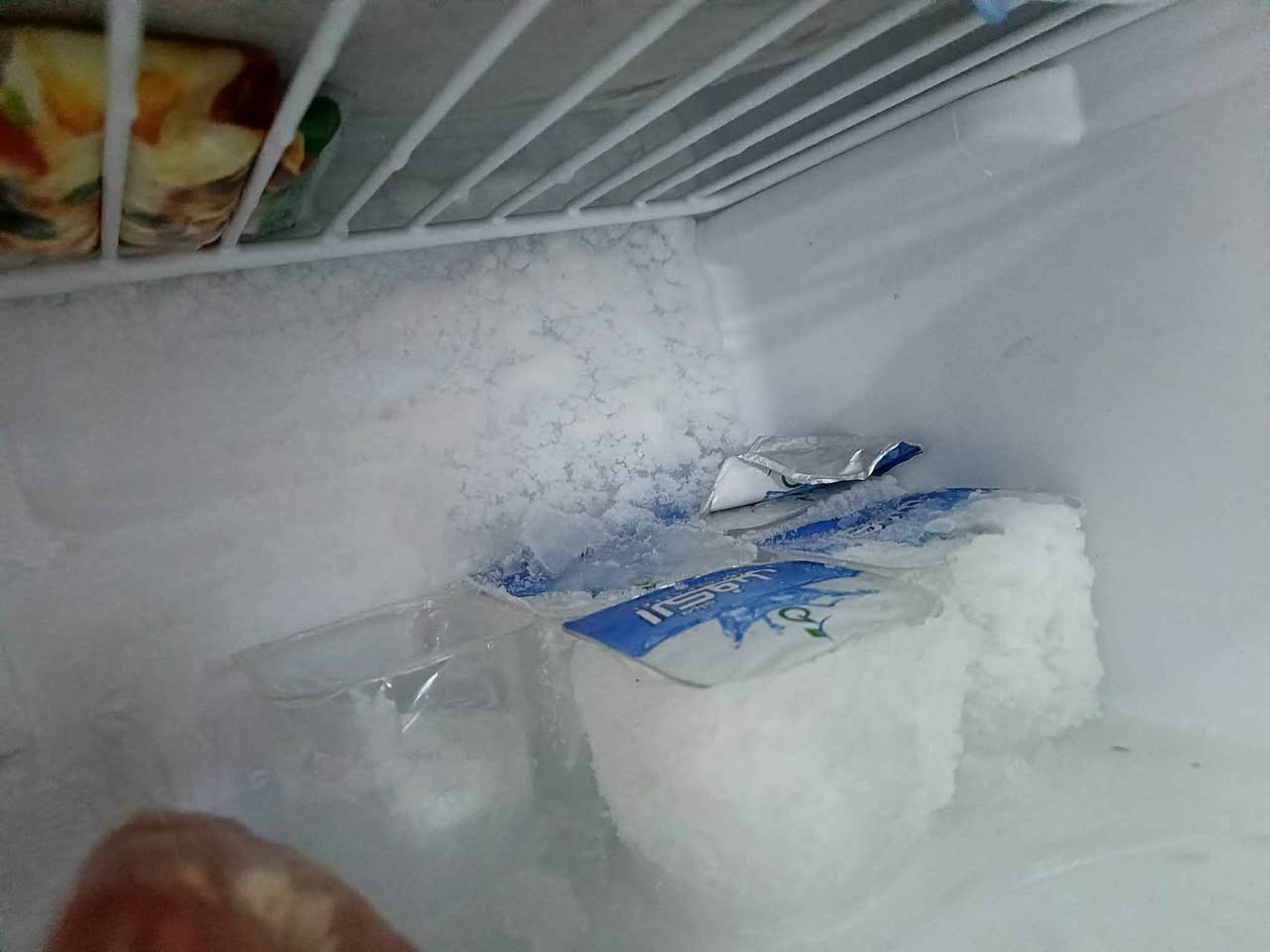 ثلاجه اخت الجديده نضيفه كلش ماداخله تصليح ع الفحص حجم وسط 250وبيها مجال.كربلاء قرب جامعة فريحه كربلاء, العراق


**إذا كنت صاحب هذا الإعلان وتريد حذفه لأي سبب، رجاءا أرسل رسالة إلى الدعم الفني**