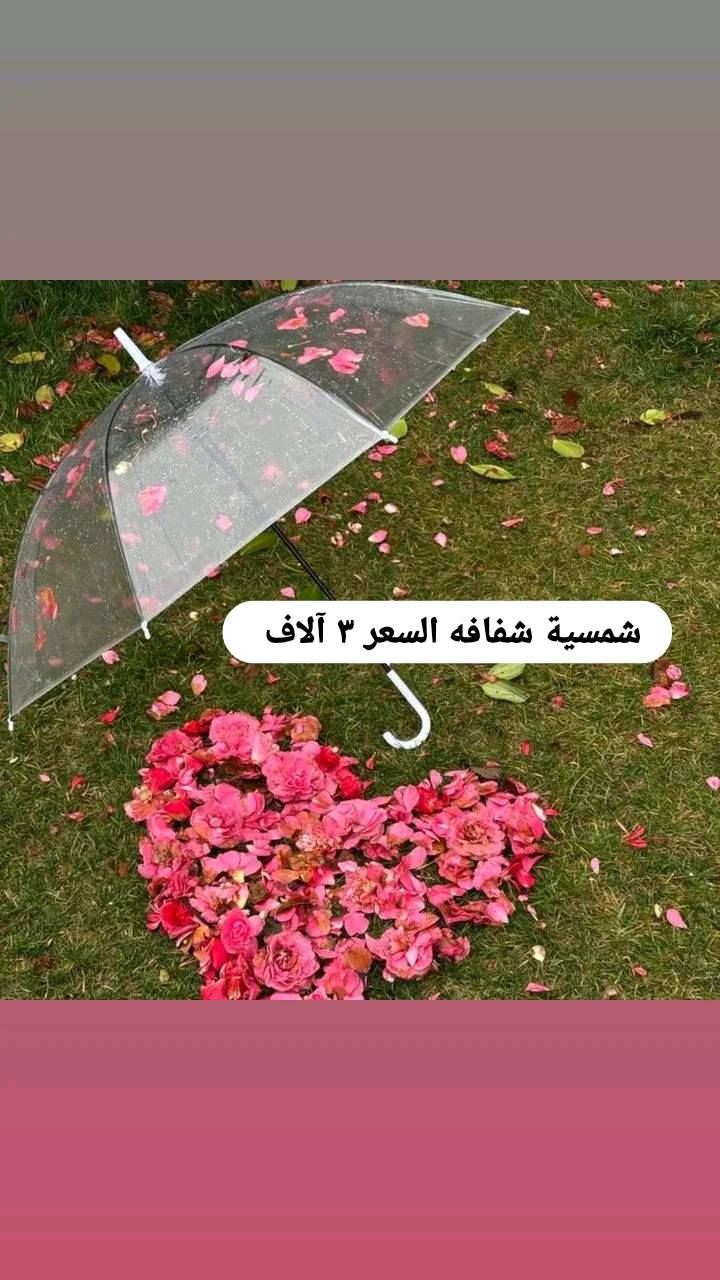 تصفية محل يتوفر أجهزة كهربائية بوكسات هدايا تزين 
مناظر شمسية كلشي متوفر 
موجود مفرد وجملة وب اسعار جدا مناسبة  
يتوفر توصيل لبغداد ولجميع المحافظات