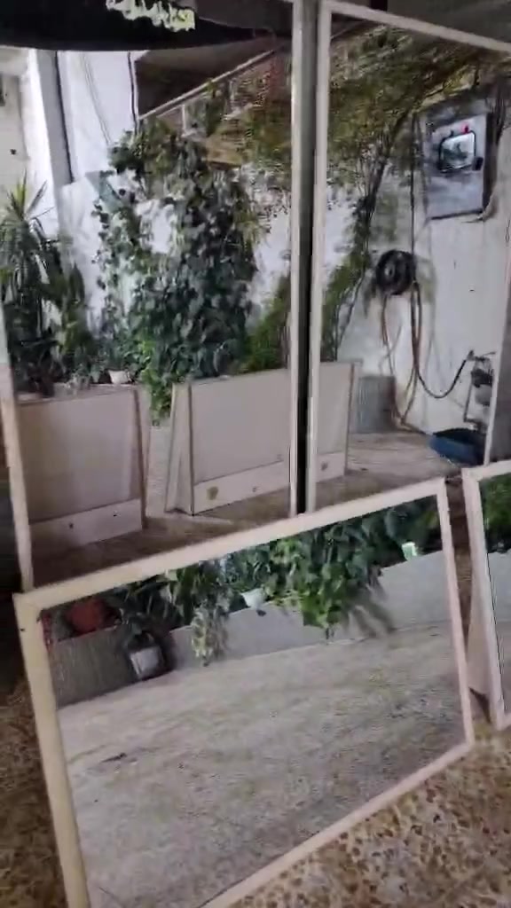 غراض نظاف حيل
للأستفسار التواصل خاص


**إذا كنت صاحب هذا الإعلان وتريد حذفه لأي سبب، رجاءا أرسل رسالة إلى الدعم الفني**