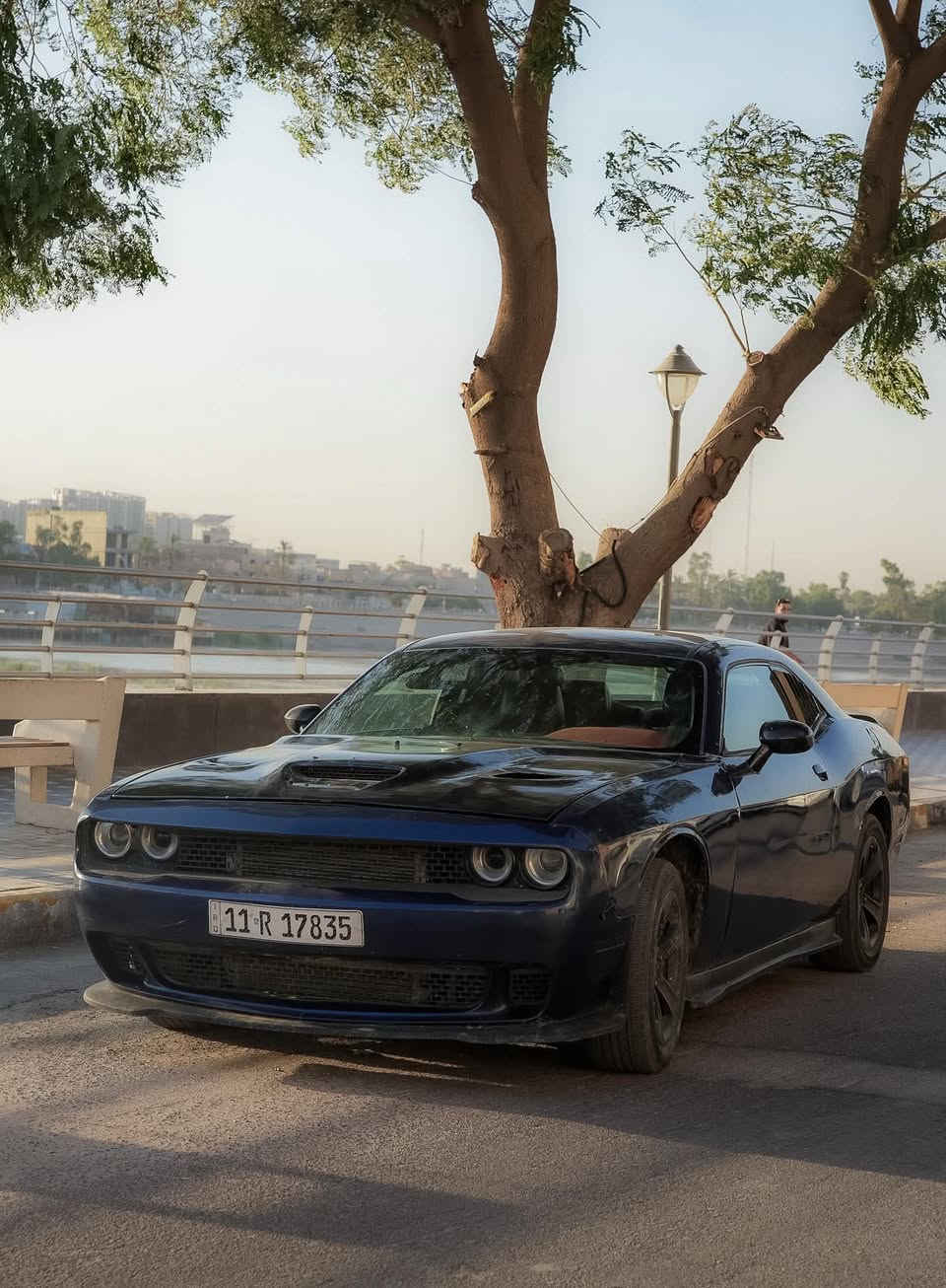 دوج جالنجر           
١٢ محدث البجم ٢٠١٧ مصبوغه عام جماليه حادثها جاملغ خلفي صفحه اليمنه فقط  كير مكينه مكفولات سعرها 95 ورقه مكاني بغداد الامين الثانيه تواصل واتساب ***********
