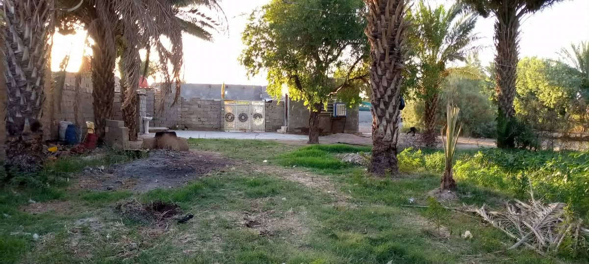 سلام عليكم
بيت لبيع مساحته 1500مع البستان
 يحتوي لبيت على غرفتين ومطبخ وصاله استقبال خارجي مع دونم على شط مكان واسط 
منطقه ليوسفيه مقابل دور الخليج
الستفسار على رقم

اسيا.***********

اثير.***********
