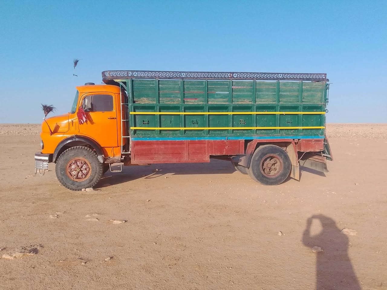 السلام عليكم ابوردين للبيع قاصرين مديل 80 مكينه كير شرط السعر 17 / ***********
