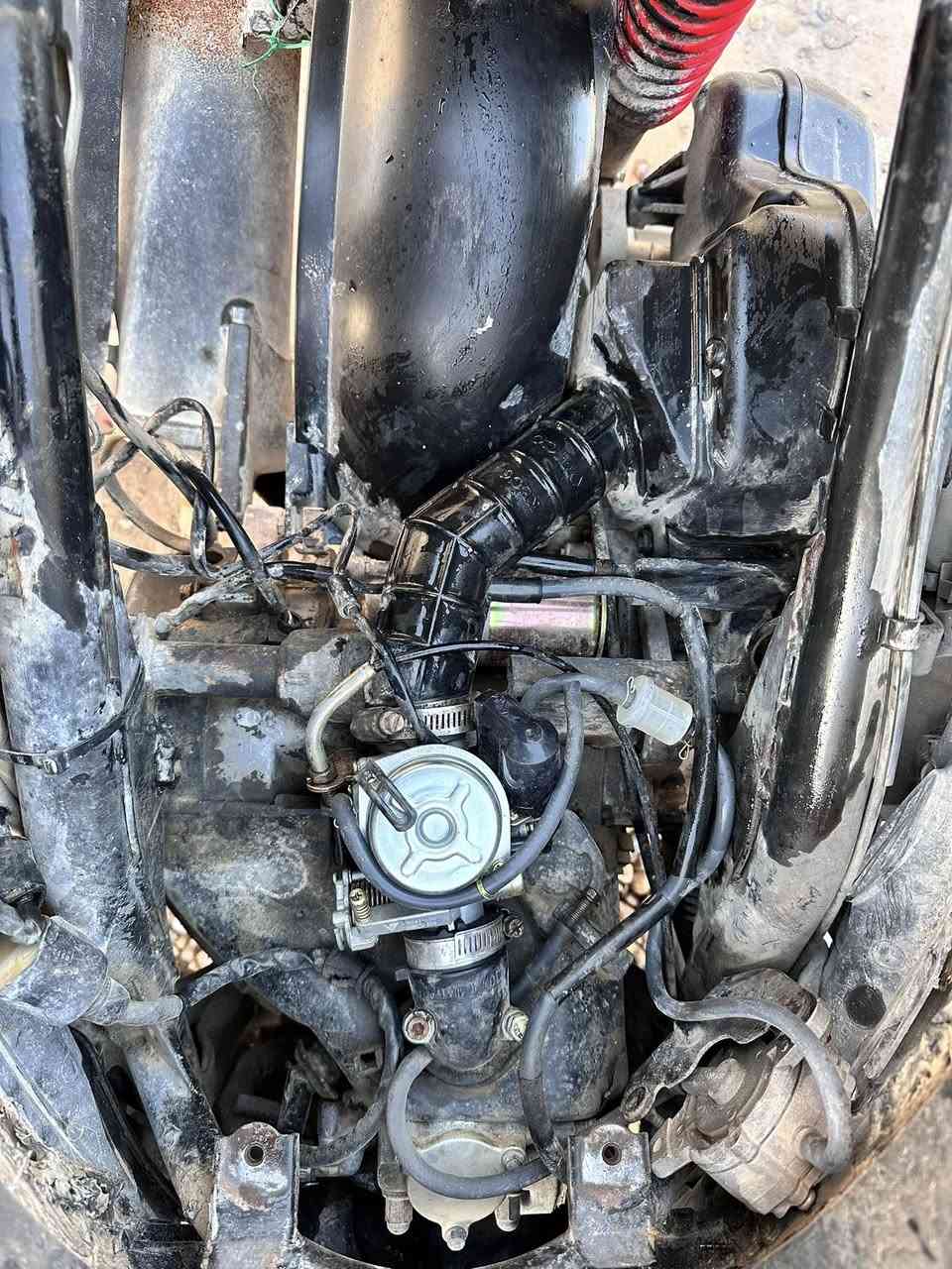 كامكو جي فور مكينه فول نعومه السعر 390 الرقم ***********
