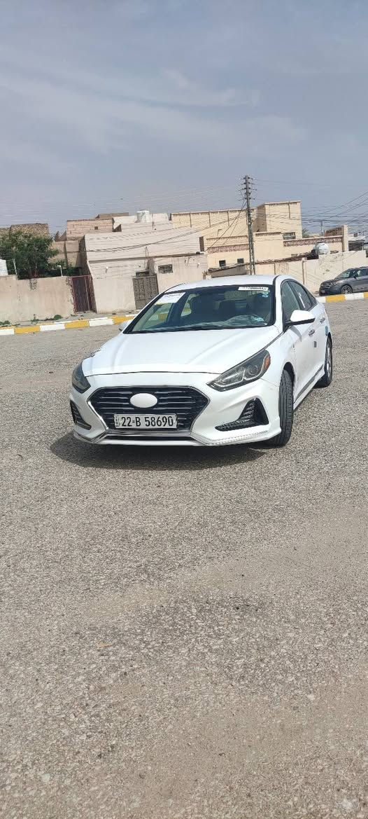 سوناتا2018 مريكي محرك 2400. جداي مكاني كربلاء اريد مراوس بسياره وبيع
سياره جديده جديده 
مراوس بسياره 
..

((مكفوله من ضربه فقط جاملغ امامي. صبغ

وباقي تكحيل

.. سماعات  
تحكم ستيرن...
قطعتين 
حساسات خلفية...
شاشه كبيره.. و كامره دواره  ..

بكلايت خلفي لد 
و لد أمامي 
ثلاث انضمه قياده.
 بلاد... دواخل كلها بلاد بلاد ..
ويل لمتدد.. تخم تاير جديد 
.
بلوتوث مكان شحن...... .. 
   صدر جديد
 

محرك 2400 ... جداي

تخم تاير...
ويل بلادي ... 
مانقصها لو برغي نضافه 1ع1
رادار بل مري 

رقم

***********
