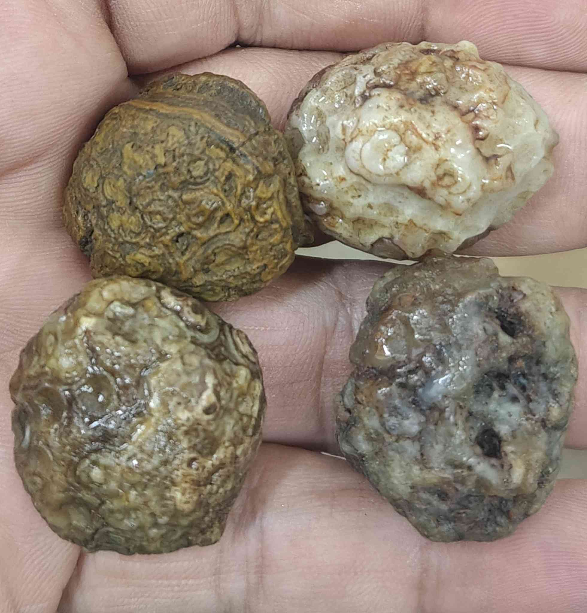 12 حجره سليماني و داودي خامات كلش حلوه جمله فقط سعرهن 60 الف واصل يمك يوجد توصيل  كافة المحافظات عنواني بغداد واي استفسار على الخاص


**إذا كنت صاحب هذا الإعلان وتريد حذفه لأي سبب، رجاءا أرسل رسالة إلى الدعم الفني**