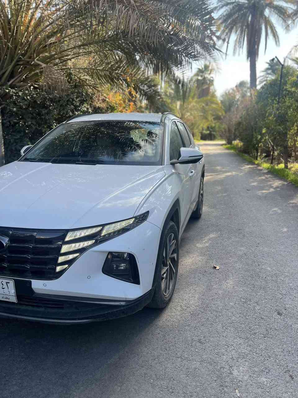 مساء الخير

توكسان 2023 خليجي وكالة 

مكفولة كفالة عامة بدون قطرة صبغ بدون بارد وسونارهامسوي جديدمرفق ويه الصور

السعر217 وبيها مجال 

بصمة ابواب وتشغيل 

تشغيل عن بعد 

ترحيب مري واضوية 

مري شفط اشاير بل مري 

كرسي ثنين كهرباء 

بردات خلفية 

شحن لاسلكي 

حساسات امامي خلفي 

هندبريك بصمة واتو هولد 

نظام منحدرات 

فول تحكم ستيرن كروس سرعة 

انظمة قيادة 

محرك 2000 دوش 

تبريد محرك كير كفالة 

سبيرشركه منازل

صدر جديد

داخل لونين 

ماشية 27كيلو 

رقم بغداد 

مكانها بغدادصدرالقناة قرب جسرالمثنى رقم الهاتف***********
