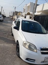 افيو • ٢٠٠٨ • أربيل