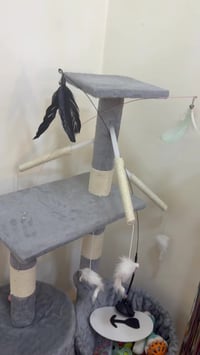 بيت قطط • جديد • بيه مجال