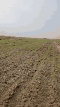 بابل خلف جامعة بابل • ٤ دوانم ونص • سند ٢٥